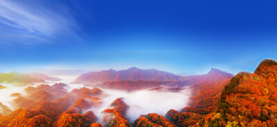 24th Sichuan Guangwu Mountain International Red Leaf Festival to Showcase Asia’s Spectacular Autumn Colors - Alvinology