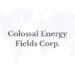 Colossal Energy Fields Corp. Announces Warren Irwin as Special Advisor and Significant Investor, Strengthening Financial Strategy, Capital Markets Insight and Energy Project Funding Capabilities - Alvinology