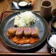 [Review] Katsu by Kyu Brings Premium Jeju Pork Tonkatsu to Singapore CBD - Alvinology