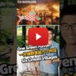 Decoding Rural China's Governance: How six villages turn viral fame into shared prosperity - Alvinology