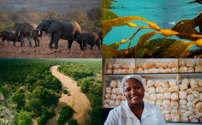 De Beers Group Advances Building Forever Goals with Significant Progress on Livelihoods, Nature, Climate and Provenance - Alvinology