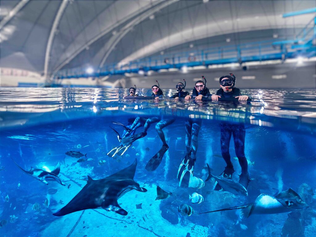 Resorts World Sentosa Launches Singapore’s Only Oceanarium Snorkelling Experience for Beginners - Alvinology