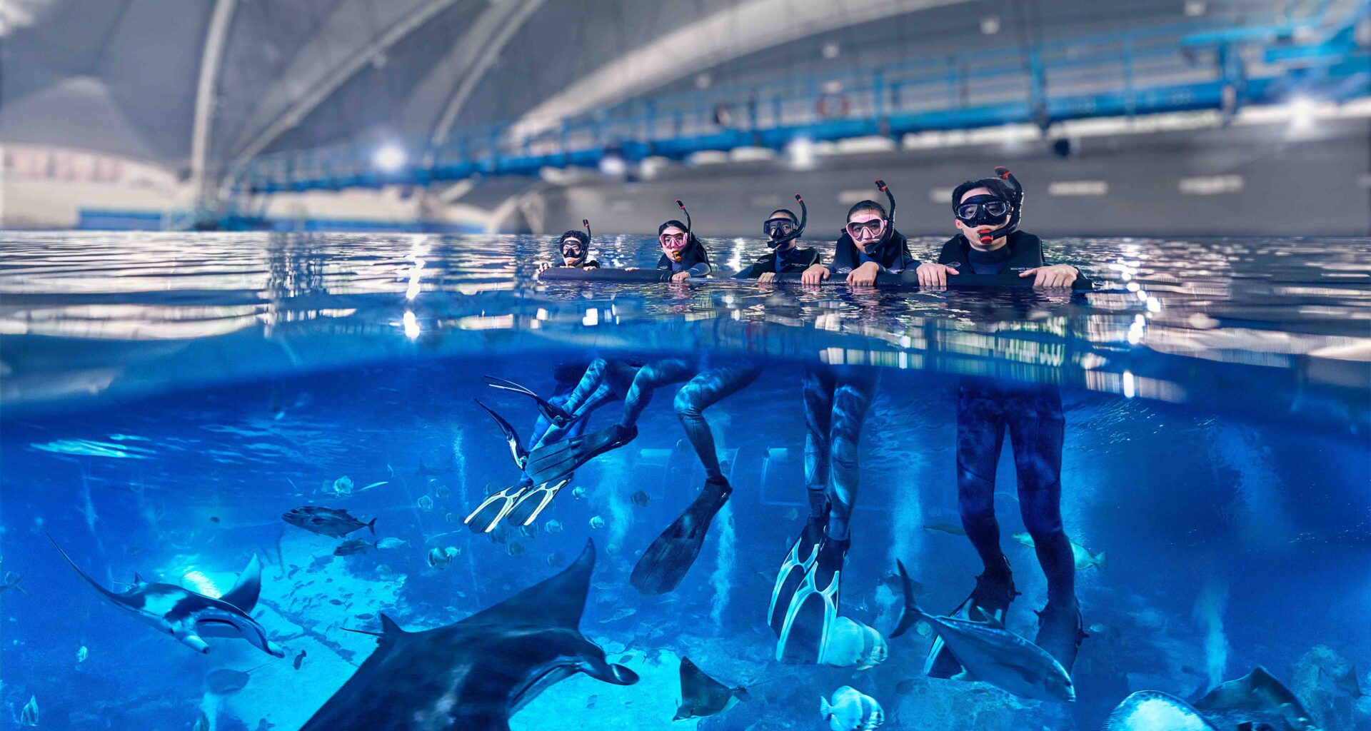 Resorts World Sentosa Launches Singapore’s Only Oceanarium Snorkelling Experience for Beginners - Alvinology