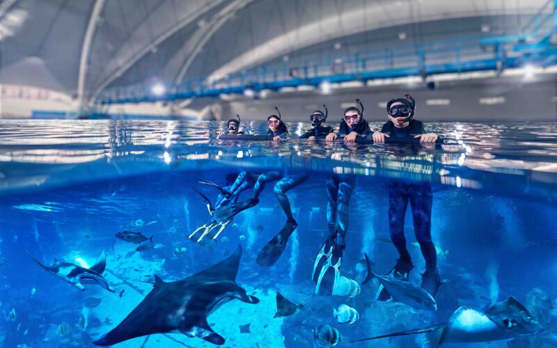 Resorts World Sentosa Launches Singapore’s Only Oceanarium Snorkelling Experience for Beginners - Alvinology