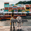 G-Dragon’s PEACEMINUSONE x Toy Story Pop-Up Brings Exclusive Collectibles to Clarke Quay - Alvinology